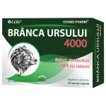 dupa cat timp isi face efect branca ursului