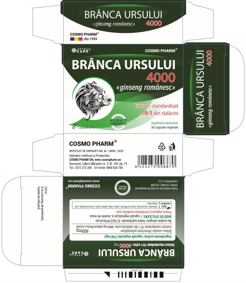 branca ursului administrare la femei