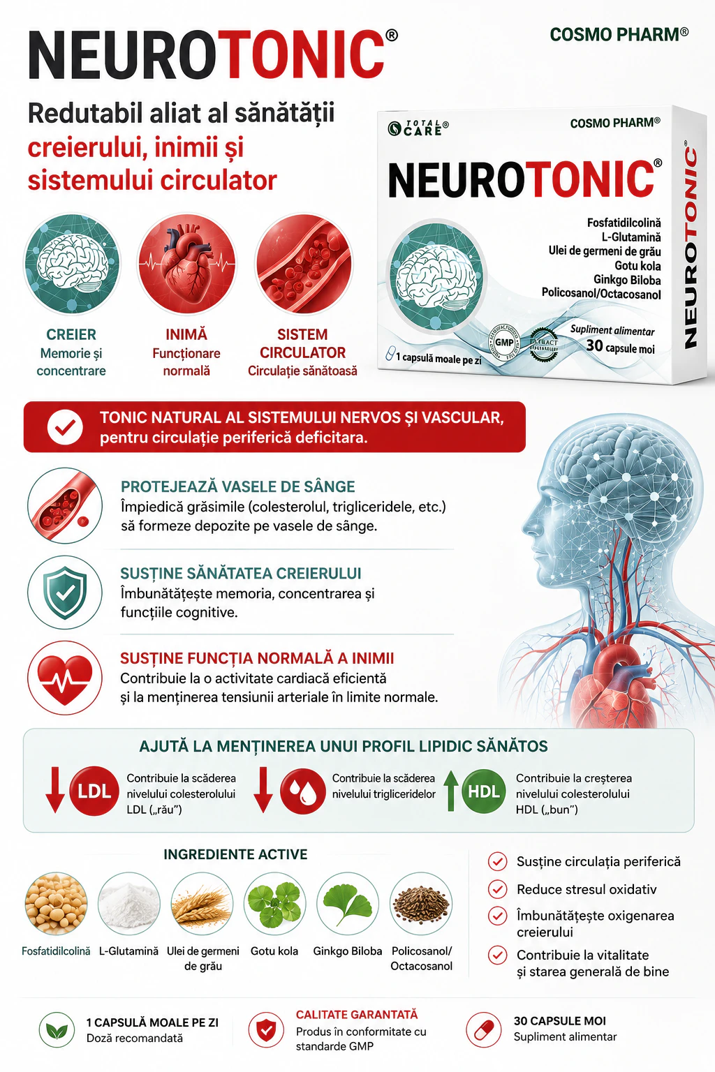 NEUROTONIC ® Pentru Circulatie Cerebrala / Periferica 7 Beneficii pentru creier și inimă