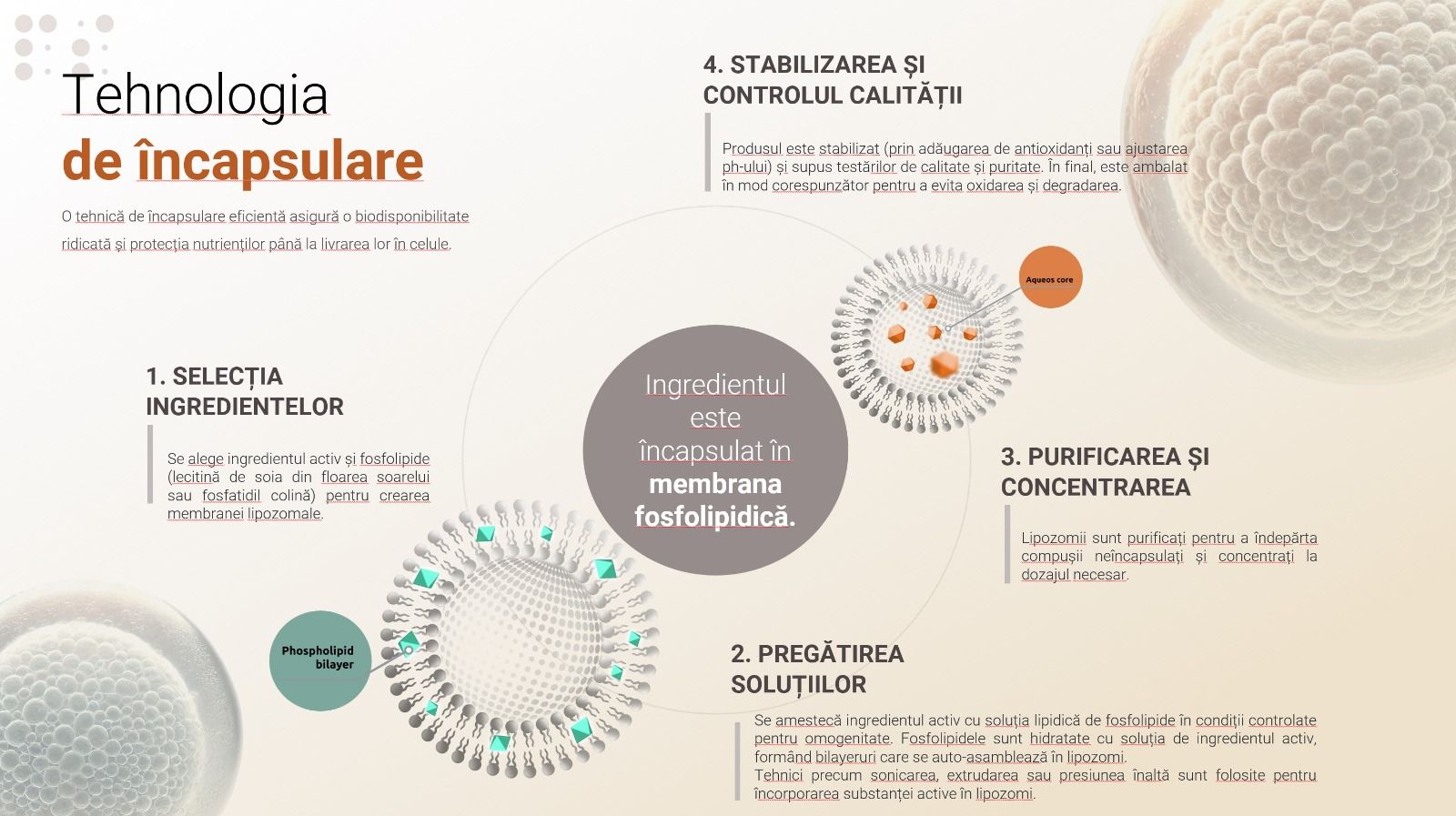 suplimente lipozomale