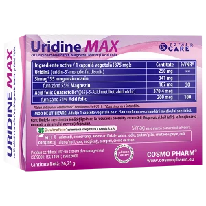 l-carnitine powder suppliers L-Carnitine Powder