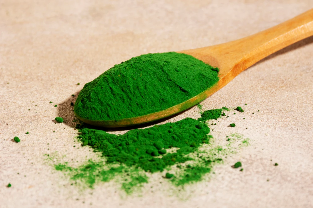 chlorella-pudra