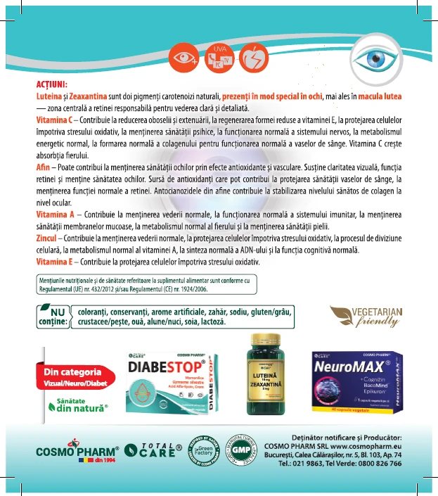 prospect2-Max-Vision-Ultra-Forte-2025