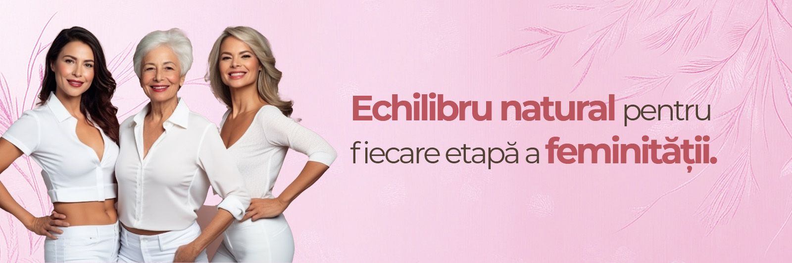 menopauza 2t