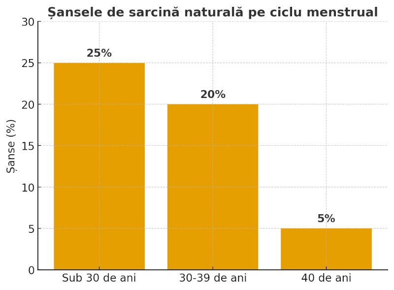 sarcina-naturala-ciclu-menstrual.webp