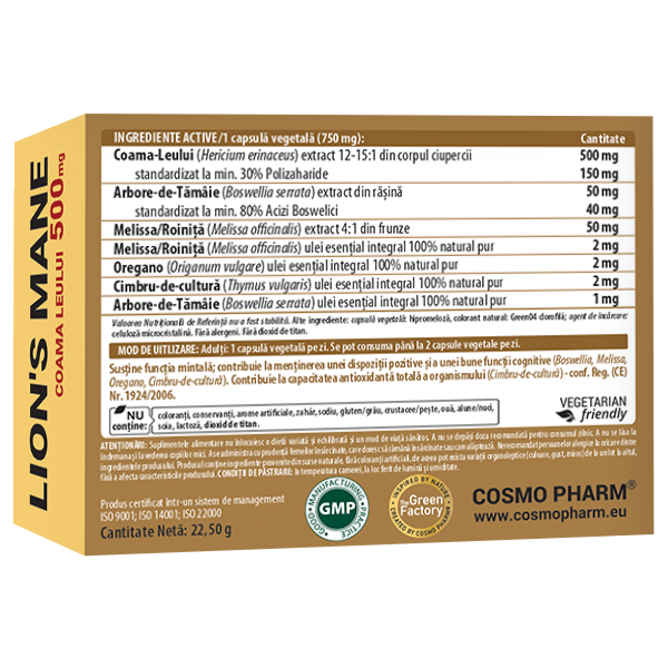 Lion’s Mane Coama Leului extract natural pentru susținerea sănătății creierului și a sistemului nervos