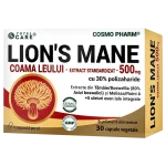 LION'S MANE - Coama-Leului PREMIUM COMPLEX 1 coama-leului-hericium-erinaceus-supliment-nootropic-natural