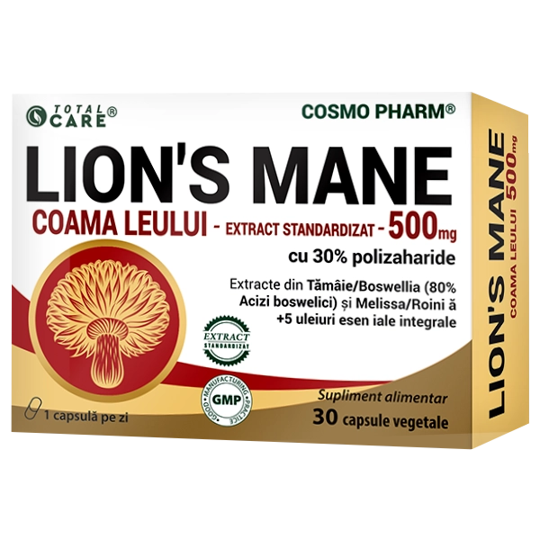 coama-leului-hericium-erinaceus-supliment-nootropic-natural