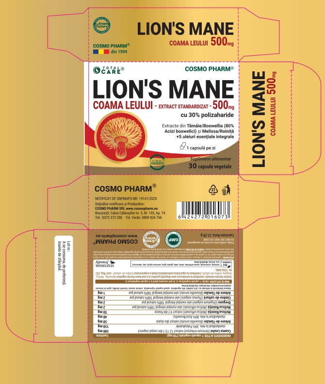 Lion’s Mane Coama Leului extract natural pentru susținerea sănătății creierului și a sistemului nervos