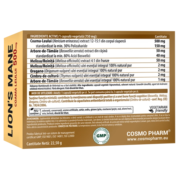 LION'S MANE - Coama Leului PREMIUM COMPLEX 4 coama-leului-hericium-erinaceus-supliment-nootropic-natural
