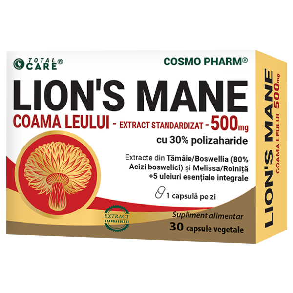 Lion’s Mane Coama Leului extract natural pentru susținerea sănătății creierului și a sistemului nervos